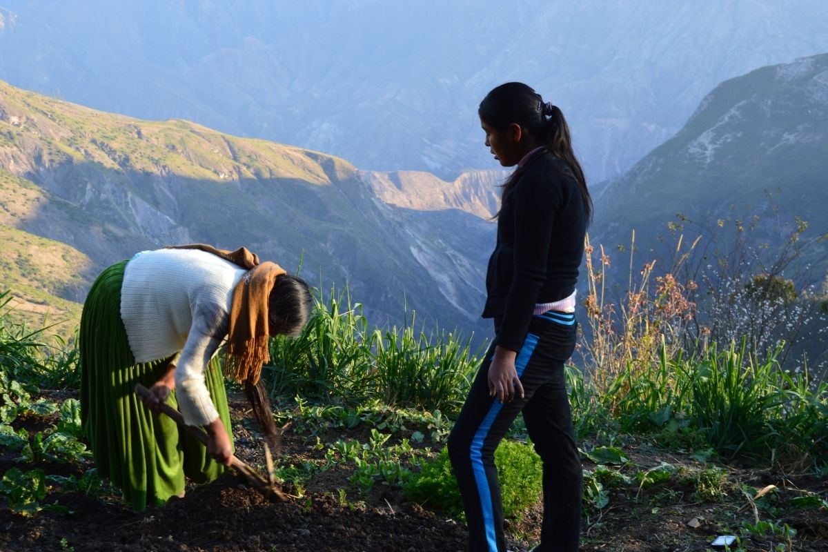 Educación ambiental