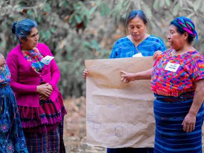 Guatemala. Creación y consolidación de huertos traspatio para promover la seguridad alimentaria