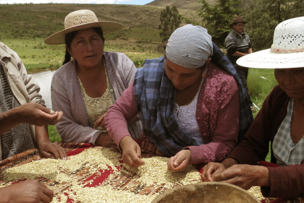 Boletín Abril 2024 - Fundación InteRed