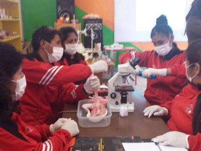 Hacia la consolidación de la formación técnica productiva en centros educativos de Bolivia