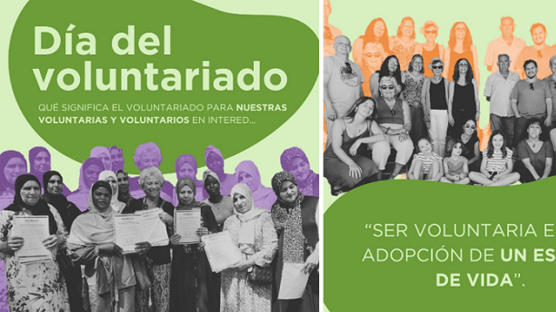 Día Internacional del Voluntariado 2024