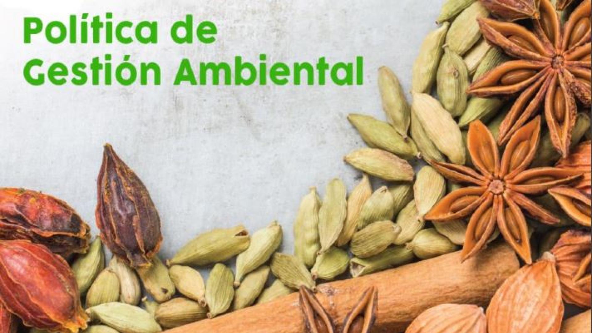 InteRed y su compromiso con el medioambiente