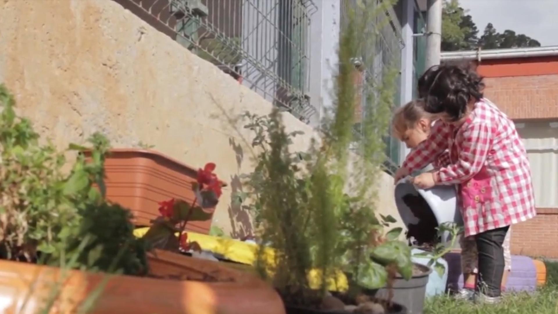 La pedagogía de los cuidados en el ámbito educativo