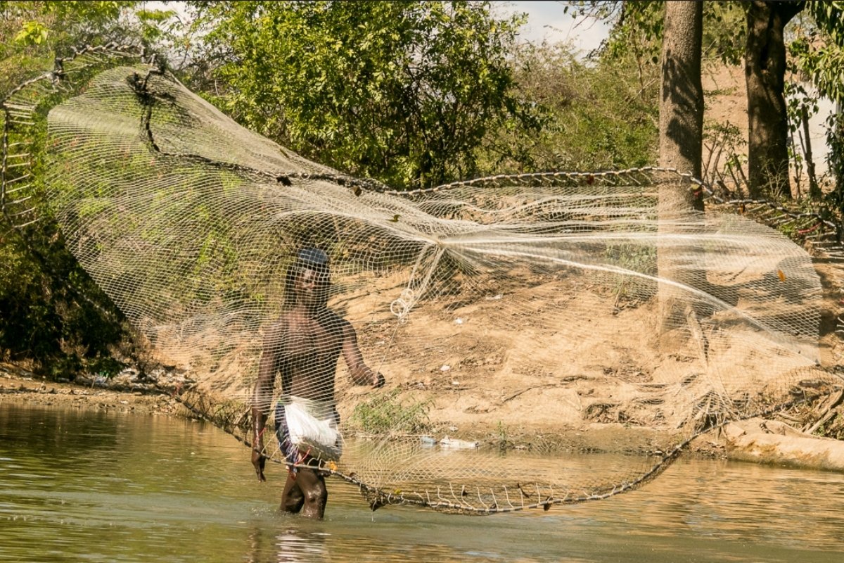 La exposición fotográfica “Resiliencia” se presenta en el marco del Día Internacional de la Educación